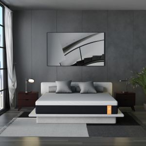 OhGeni Foam Mattress